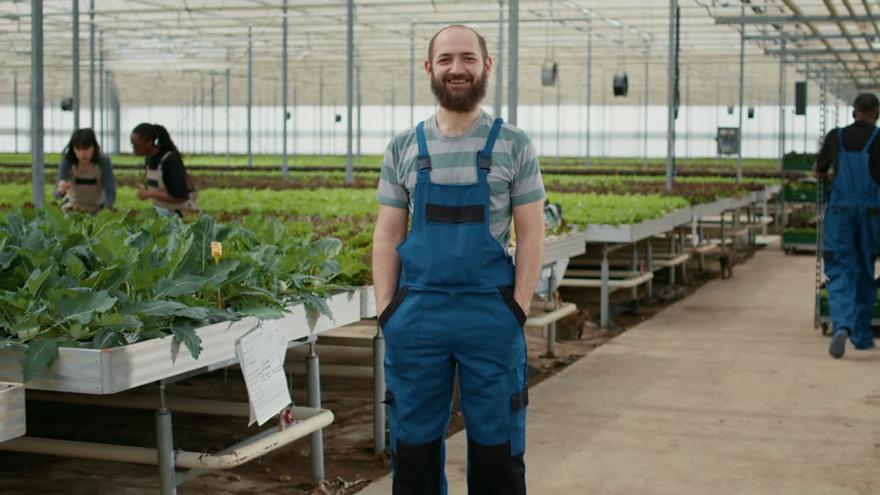 Greenhouse farmers working with crops
