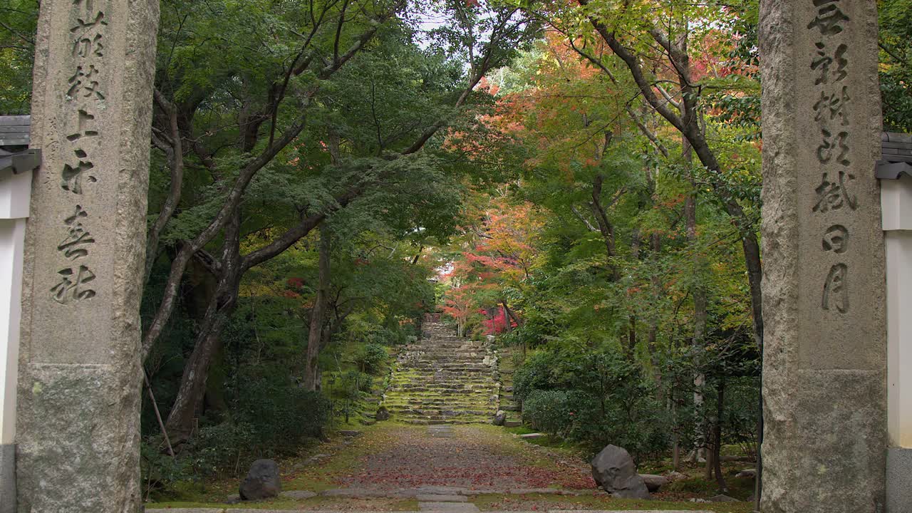 Autumn leaves begin to turn beside ancient pathway at Joju-ji Temple