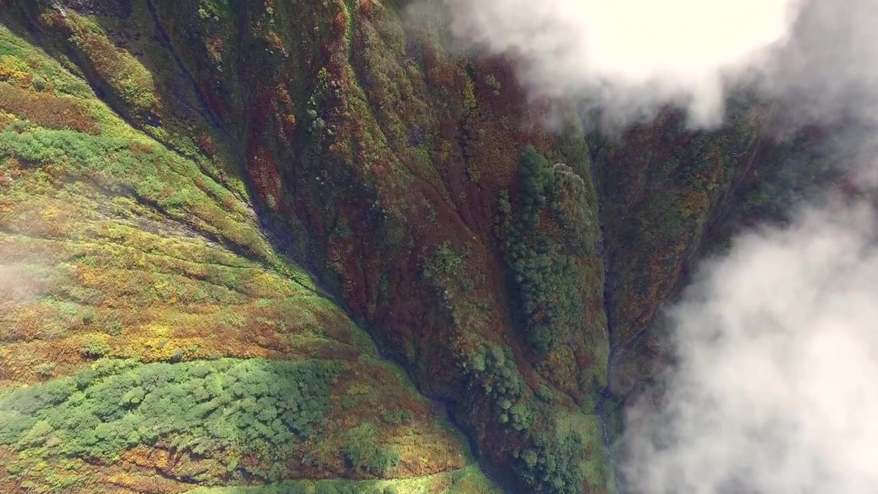 Vista aérea de ladera de montaña exuberante con nubes en movimiento