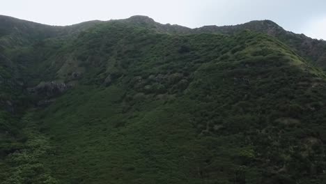 drone aerial mountains pan up valley hawaii