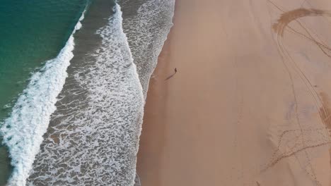 one person walks alone on golden beach at porto santo island, portugal