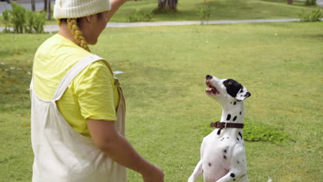 woman playing with dog