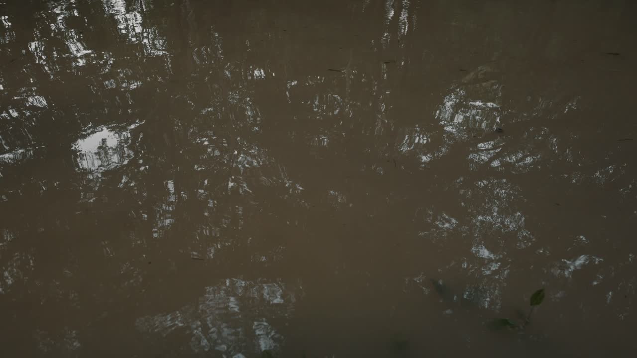 agua turbia del lago causada por inundaciones en la selva amazónica, ecuador