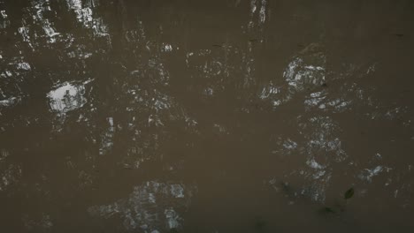 agua turbia del lago causada por inundaciones en la selva amazónica, ecuador