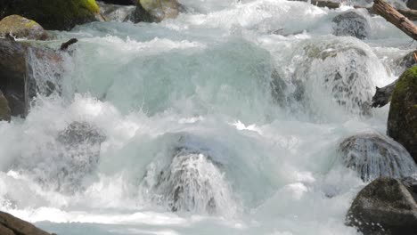 mountain river in the wood in slow motion. beautiful wildlife landscape.