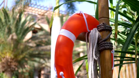 lifebuoy in tropical resort in 4k slow motion 60fps