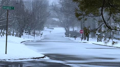 slow motion snowfall in suburban nyc, america, during a big nor’easter