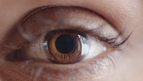 cerca del ojo humano abriendo el iris contrayendo la belleza óptica