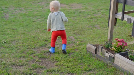 rear shot of toddler walking on grass in garden outdoor with red pants and boots