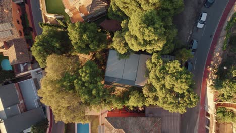 Drone-landing-on-the-roof-of-a-modern-house-surrounded-by-a-tree-in-a-residential-area-in-Malaga,-Spain