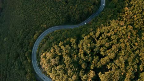 Aerial-tilt-up-view-drone-shot-of-cars-driving-on-a-winding-mountain-road-in-the-middle-of-an-autumn-coloured-forest