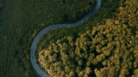 vista aérea inclinada hacia arriba toma de drones de autos conduciendo en un sinuoso camino de montaña en medio de un bosque de colores otoñales