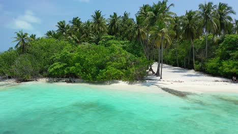 paradise exotic beach with secluded white sand under shadow of palm trees and lush vegetation, washed by calm clear water in maldives