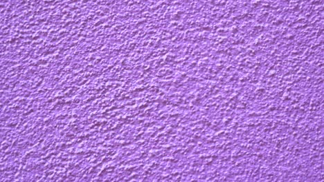 closeup of a textured purple wall