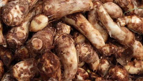 fresh-organic-taro-root-from-farm-close-up-from-different-angle