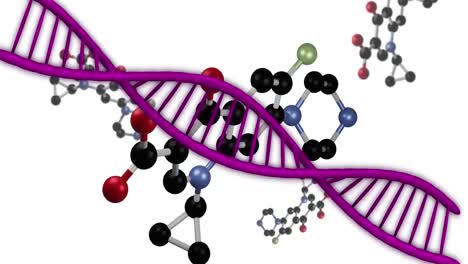 animación digital del adn y las estructuras moleculares girando contra un fondo blanco