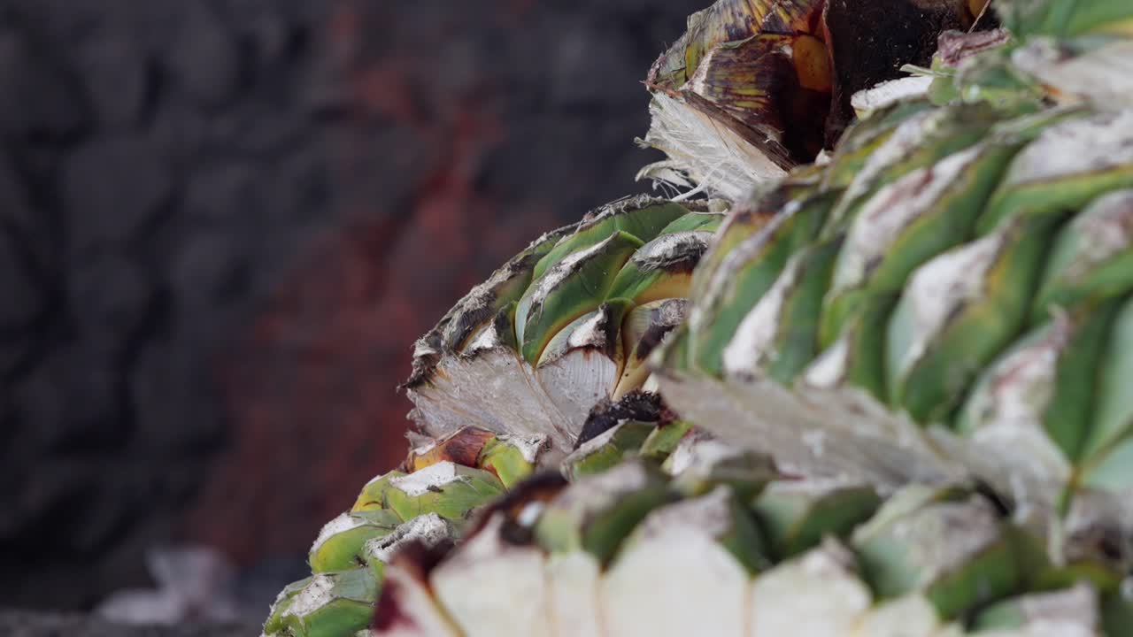 CLOSE UP ZOOM OUT SHOT OF AGAVE PINEAPPLE AND FLAMES OF THE OVEN IN THE BACKGROUND IN SLOW MOTION AT OAXACA DISTILLERY