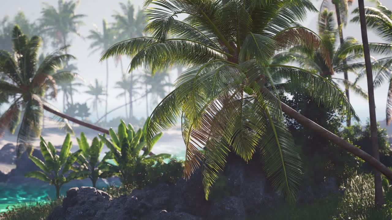 Palm trees and lush vegetation on a serene tropical beach at sunrise