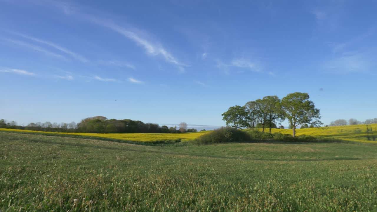 panorama sobre las praderas y el campo de colza