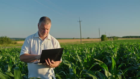 farmer using laptop in a cornfield