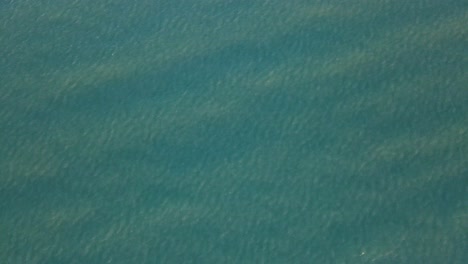 close up of turquoise blue sea water with ripples