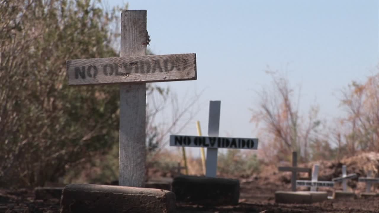 오솔길에는 no olvidado 또는 not forget이라는 단어만 표시된 일반 나무 십자가가 늘어서 있습니다.