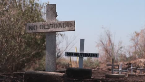 a pathway is lined with plain wooden crosses marked only with the words no olvidado or not forgotten