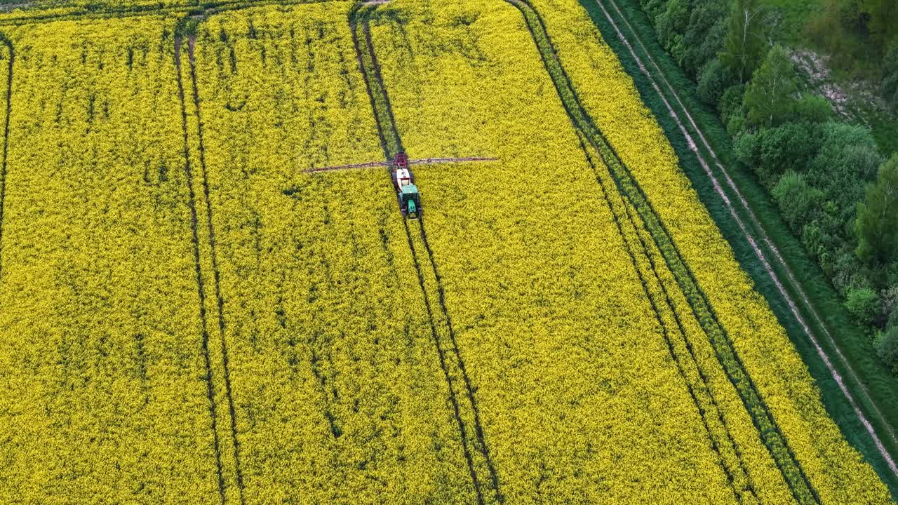 Aerial drone of rapeseed field being sprayed at sunset