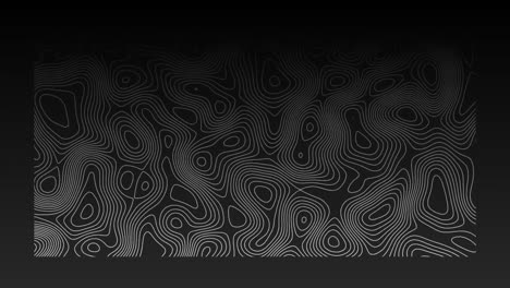 Animation of organically moving white topographic lines on black background
