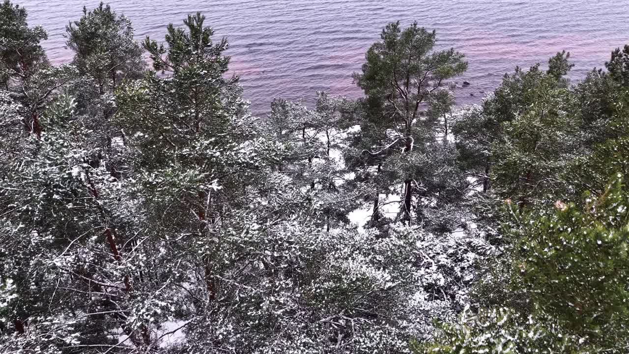 Vista aerea di persone che camminano attraverso una foresta innevata verso la costa invernale, lasciando percorsi visibili sul terreno bianco e fresco