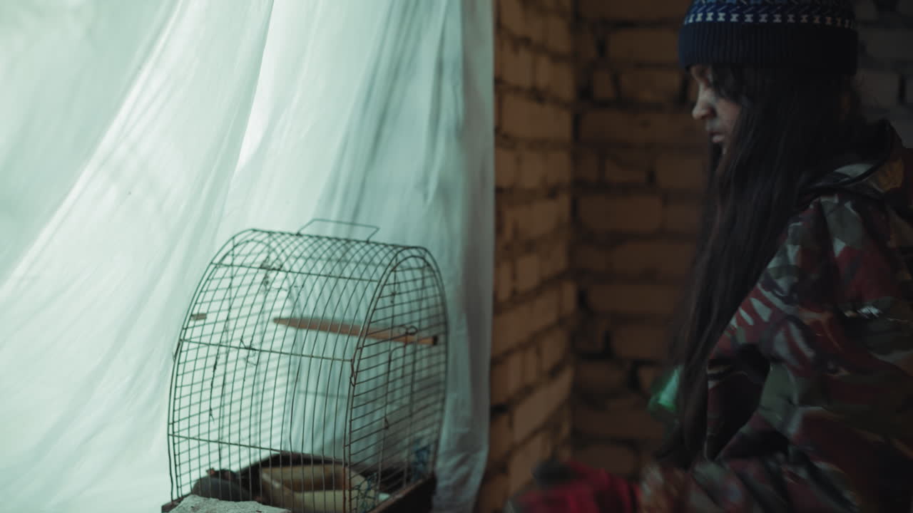 Kid in military clothes carefully dropping rat inside metal cage placed near window with light fabric curtain, creating atmosphere of survival and tension in improvised shelter environment