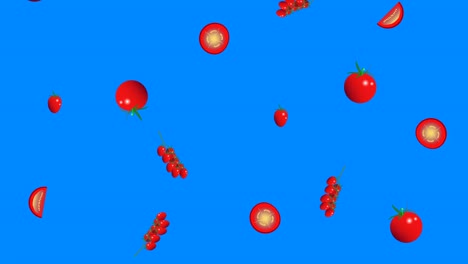 falling tomatoes group graphic elements animation, seamless loop, blue screen chroma key