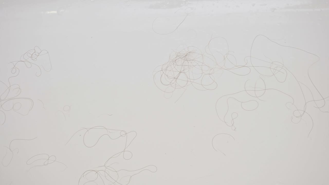 은 욕조에 어져 있는 길고 어두운 털이 있습니다.