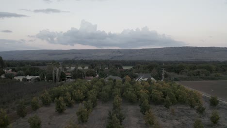 Luftflug-Zwischen-Bäumen,-Um-Den-Blick-Auf-Den-Kibbuz-Mitzpe-Shalem,-Israel,-Freizugeben