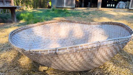 procesamiento tradicional del arroz en la zona rural de tailandia