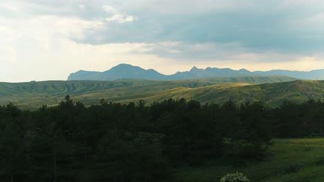 mountain landscape with forest