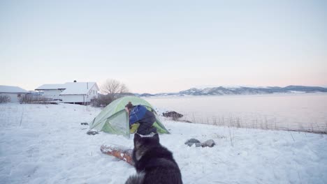 european man and his pet alaskan malamute camping together on snowy campground by the fjord at winter