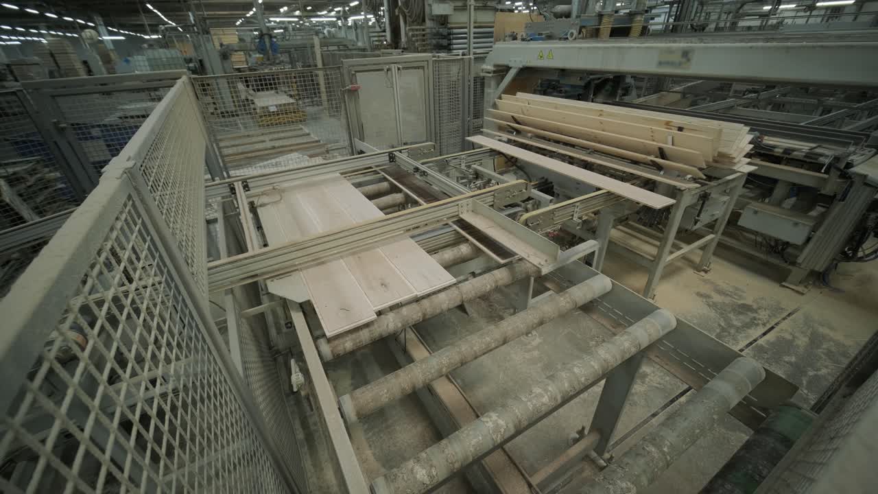 Tavole di legno trasportate automaticamente su nastro trasportatore in una fabbrica di legname