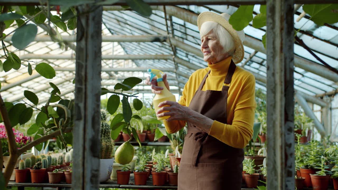 Senior Woman Gardening in a Greenhouse