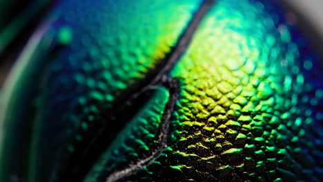 macro close-up of a vibrant iridescent insect exoskeleton