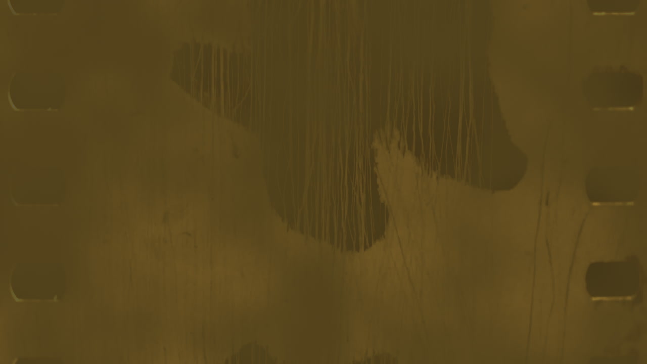 어진 필름 스트립과 함께 날씨가 나온 나무는 전시된 거친 기억입니다.