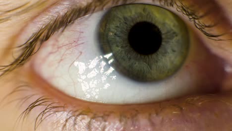 close-up of a human eye