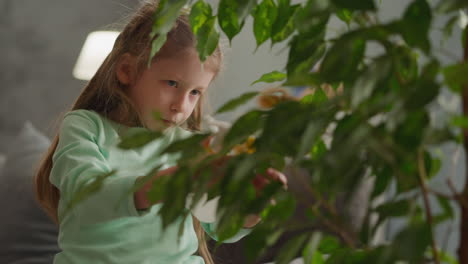 Little-girl-washes-lush-plant-leaves-spraying-water-at-home