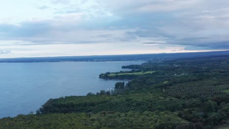 Amplia-Toma-Aérea-Volando-Sobre-La-Selva-Tropical-En-La-Costa-De-La-Isla-Grande-De-Hawaii-Con-Hilo-Bay-En-El-Fondo