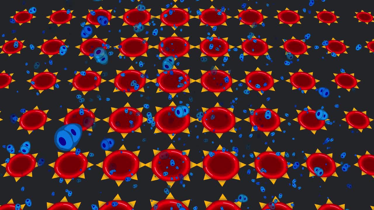 빨간 세포와 함께 검은 바탕에 파란 세포의 애니메이션