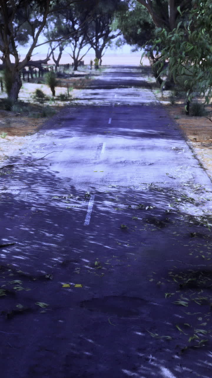 Tranquillo vialetto sotto una volta con foglie sparse e ombre