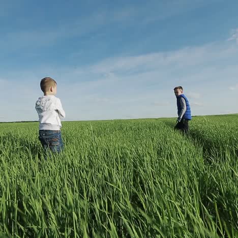 two cute child playing in green field