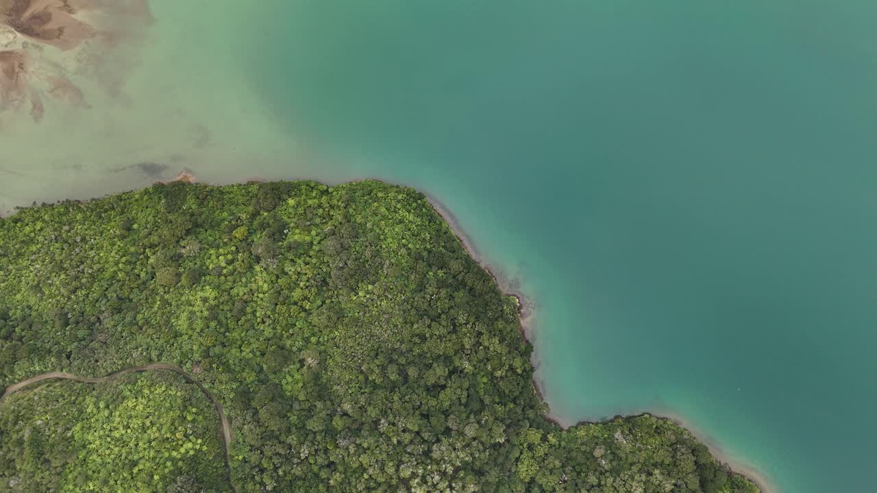 Coast of Picton town in South Island of New Zealand, top-down aerial shot