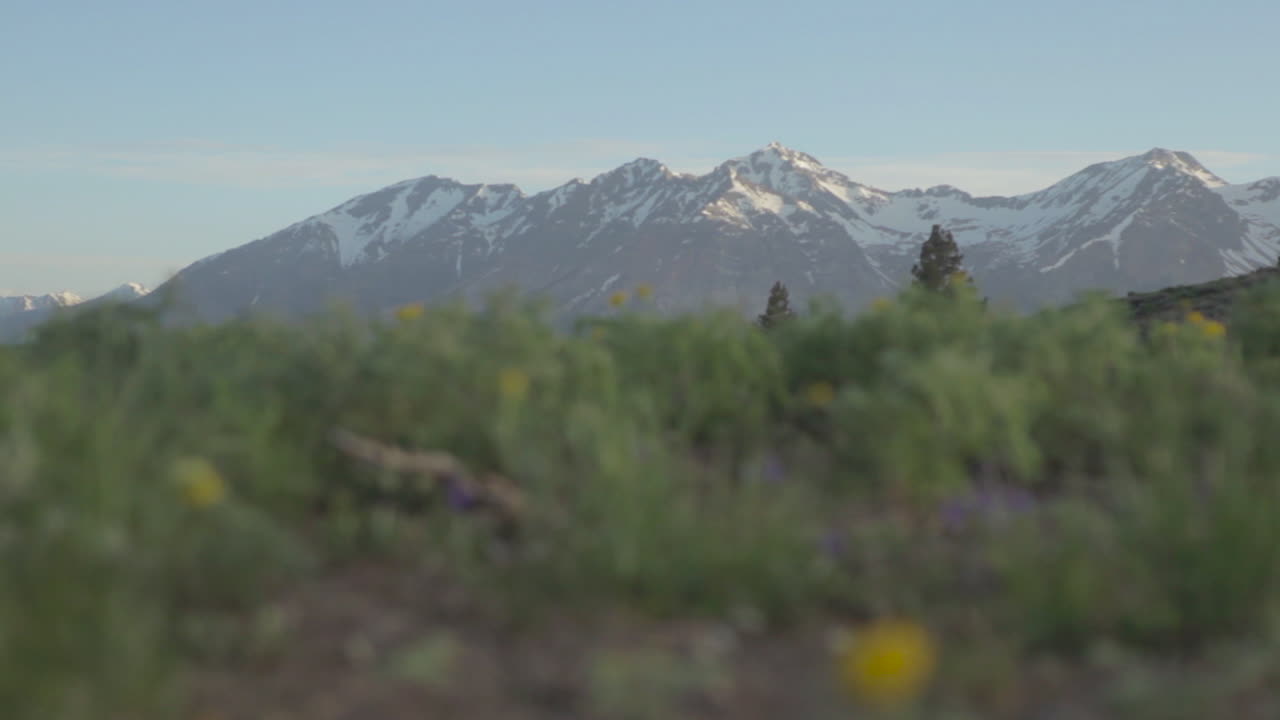 tiro ascendente sobre las montañas de sierra nevada
