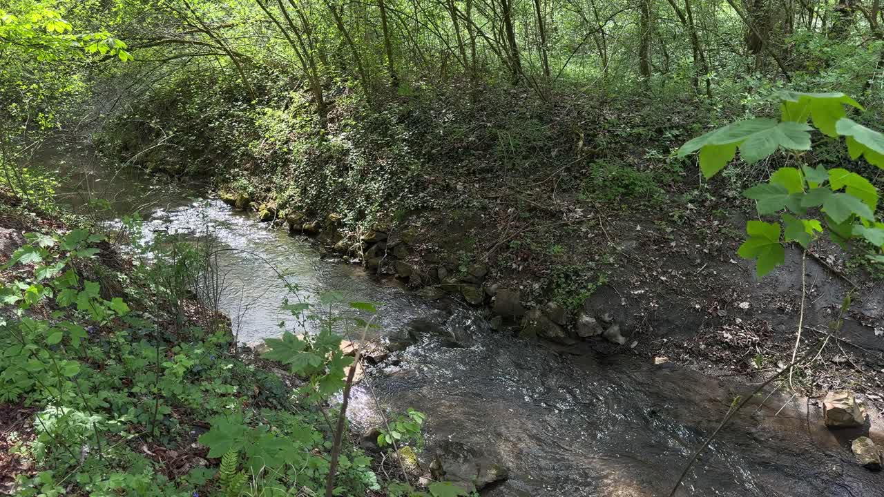 River creek water stream mountain cold running through Switzerland forest nature